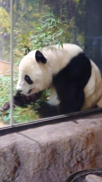 恩賜上野動物園に投稿された画像（2026/1/24）