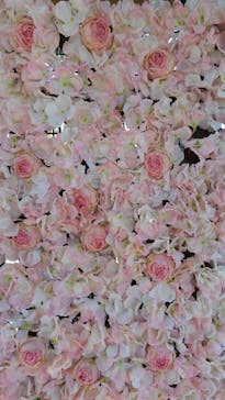 ニューヨークランプミュージアム＆フラワーガーデンに投稿された画像（2026/1/24）