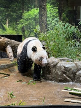 恩賜上野動物園に投稿された画像（2026/1/24）