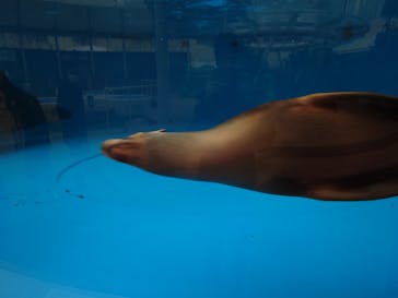 サンシャイン水族館に投稿された画像（2026/1/24）