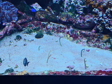 サンシャイン水族館に投稿された画像（2026/1/24）