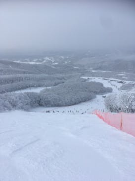 たざわ湖スキー場に投稿された画像（2026/1/24）