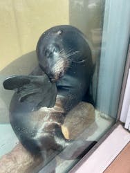 サンシャイン水族館に投稿された画像（2026/1/24）