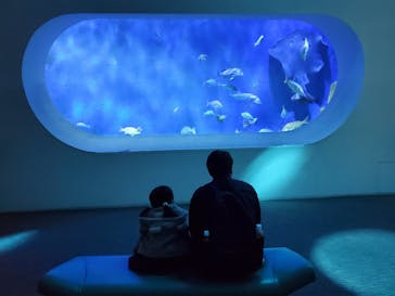 大分マリーンパレス水族館 「うみたまご」に投稿された画像（2026/1/24）