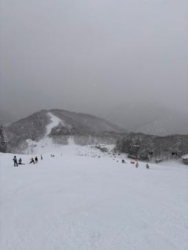 かぐらスキー場に投稿された画像（2026/1/24）