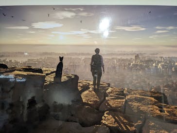 IMMERSIVE JOURNEY 名古屋に投稿された画像（2026/1/24）