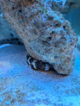 竹島水族館に投稿された画像（2026/1/24）