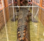 国立科学博物館に投稿された画像（2026/1/24）