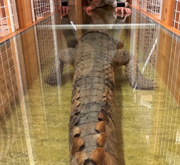 国立科学博物館に投稿された画像（2026/1/24）