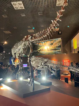 特別展「大絶滅展―生命史のビッグファイブ」に投稿された画像（2026/1/24）