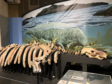 特別展「大絶滅展―生命史のビッグファイブ」に投稿された画像（2026/1/24）