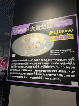 特別展「大絶滅展―生命史のビッグファイブ」に投稿された画像（2026/1/24）