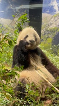 恩賜上野動物園に投稿された画像（2026/1/24）