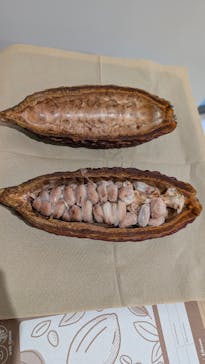 親子で手作りチョコレート料理教室@こどもでぱーと中野 1/24(土)に投稿された画像（2026/1/24）