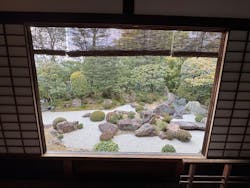 宗教法人退蔵院に投稿された画像（2026/1/24）