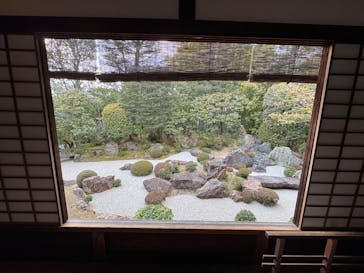 宗教法人退蔵院に投稿された画像（2026/1/24）