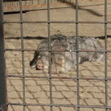 恩賜上野動物園に投稿された画像（2026/1/24）