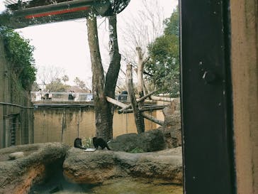 恩賜上野動物園に投稿された画像（2026/1/24）