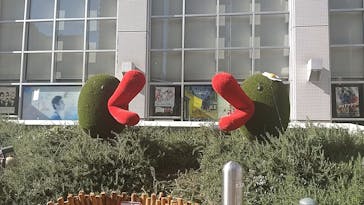 カンテレ祭り！よ～いドン！フェス2025に投稿された画像（2026/1/24）