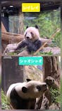 恩賜上野動物園に投稿された画像（2026/1/24）
