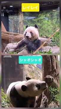 恩賜上野動物園に投稿された画像（2026/1/24）