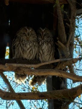 環境水族館アクアマリンふくしまに投稿された画像（2026/1/24）