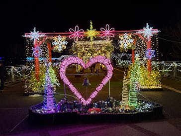 とっとり花回廊に投稿された画像（2026/1/24）