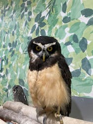 アニタッチアクアシティお台場に投稿された画像（2026/1/24）