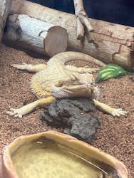 アニタッチアクアシティお台場に投稿された画像（2026/1/24）