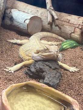 アニタッチアクアシティお台場に投稿された画像（2026/1/24）