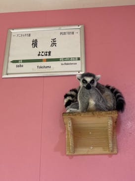 アニタッチアクアシティお台場に投稿された画像（2026/1/24）