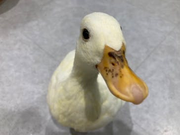 アニタッチアクアシティお台場に投稿された画像（2026/1/24）