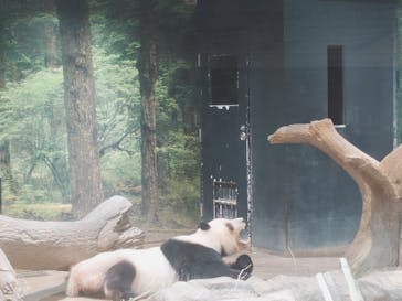 恩賜上野動物園に投稿された画像（2026/1/24）