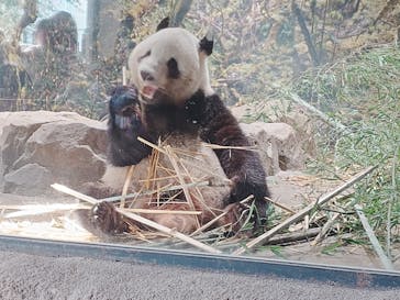 恩賜上野動物園に投稿された画像（2026/1/24）