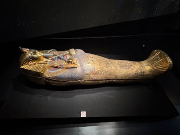 MYSTERY OF TUTANKHAMEN 体感型古代エジプト展に投稿された画像（2026/1/24）
