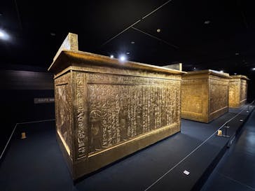 MYSTERY OF TUTANKHAMEN 体感型古代エジプト展に投稿された画像（2026/1/24）