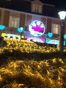 神戸イルミナージュに投稿された画像（2026/1/24）