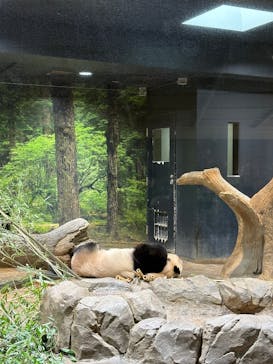 恩賜上野動物園に投稿された画像（2026/1/24）