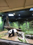 恩賜上野動物園に投稿された画像（2026/1/24）