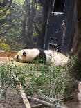 恩賜上野動物園に投稿された画像（2026/1/24）
