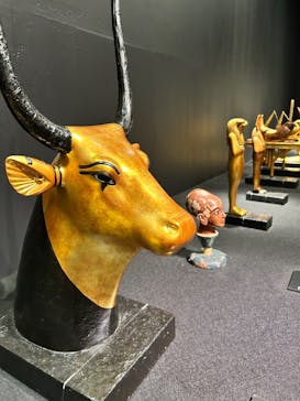 MYSTERY OF TUTANKHAMEN 体感型古代エジプト展に投稿された画像（2026/1/24）