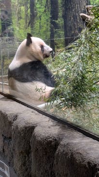 恩賜上野動物園に投稿された画像（2026/1/24）