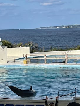 沖縄美ら海水族館に投稿された画像（2026/1/24）