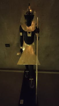 MYSTERY OF TUTANKHAMEN 体感型古代エジプト展に投稿された画像（2026/1/24）