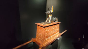 MYSTERY OF TUTANKHAMEN 体感型古代エジプト展に投稿された画像（2026/1/24）