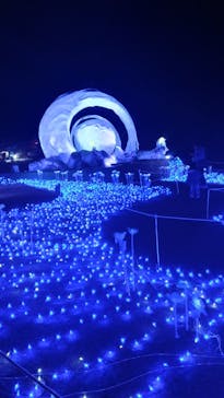 マザー牧場に投稿された画像（2026/1/24）