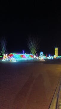 マザー牧場に投稿された画像（2026/1/24）