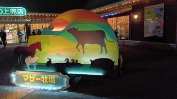 マザー牧場に投稿された画像（2026/1/24）