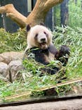 恩賜上野動物園に投稿された画像（2026/1/24）