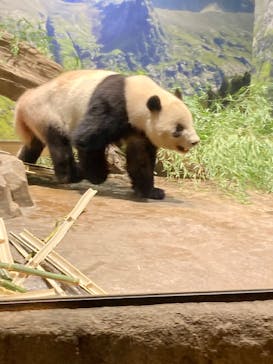 恩賜上野動物園に投稿された画像（2026/1/24）